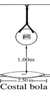 Costal Cleto Reyes bola, sintético - Image 3